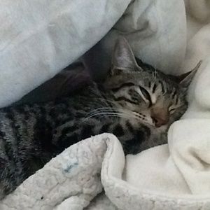 Meet your Posher, Brianna